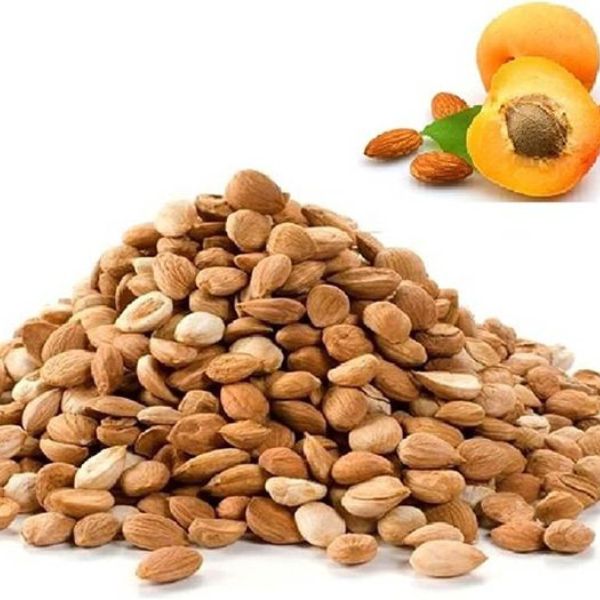 Premium Sweet Apricot Kernels Fresh And Healthy Dry Fruit