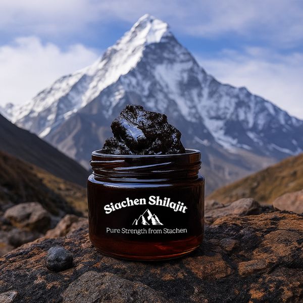 Pure Siachen Shilajit Natural Himalayan Resin from Gilgit Baltistan