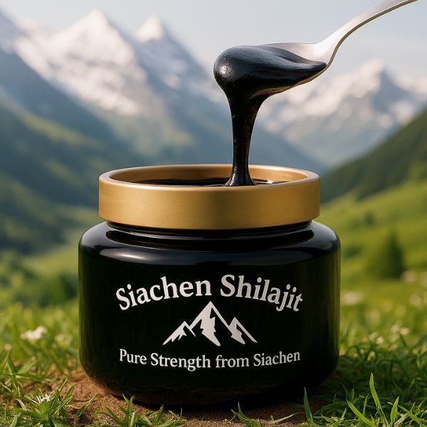 Siachen Shilajit Natural Power Extracted from Siachen Peaks
