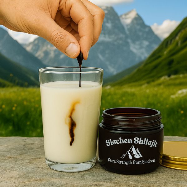 Siachen Shilajit 100% Pure Himalayan Shilajit Resin From Gilgit Baltistan