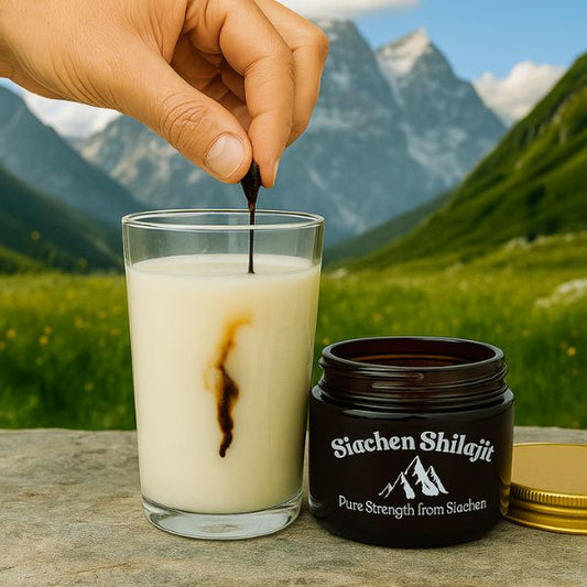 Siachen Shilajit 100% Pure Himalayan Shilajit Resin From Gilgit Baltistan